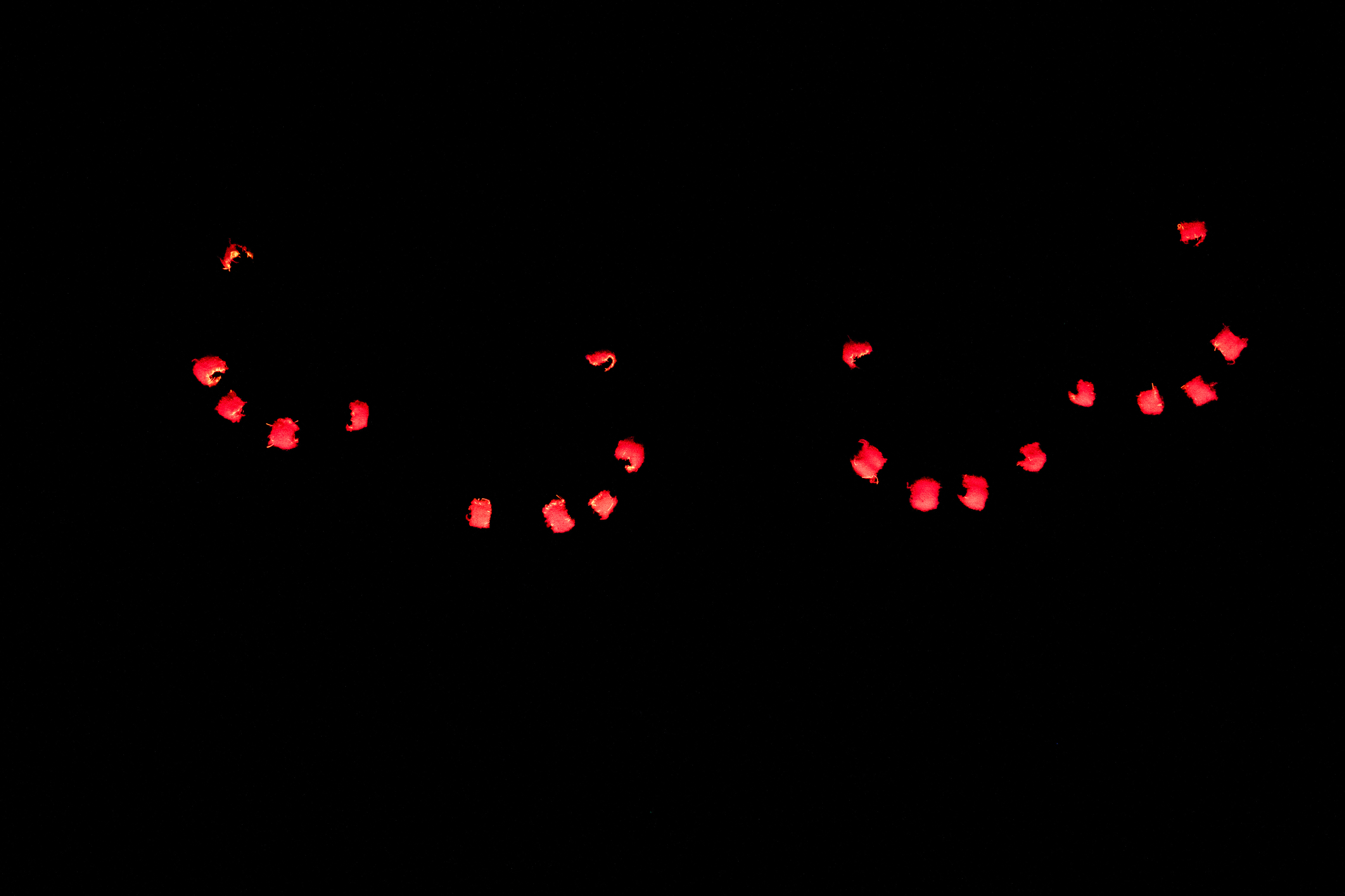 23112018-850_8733-84