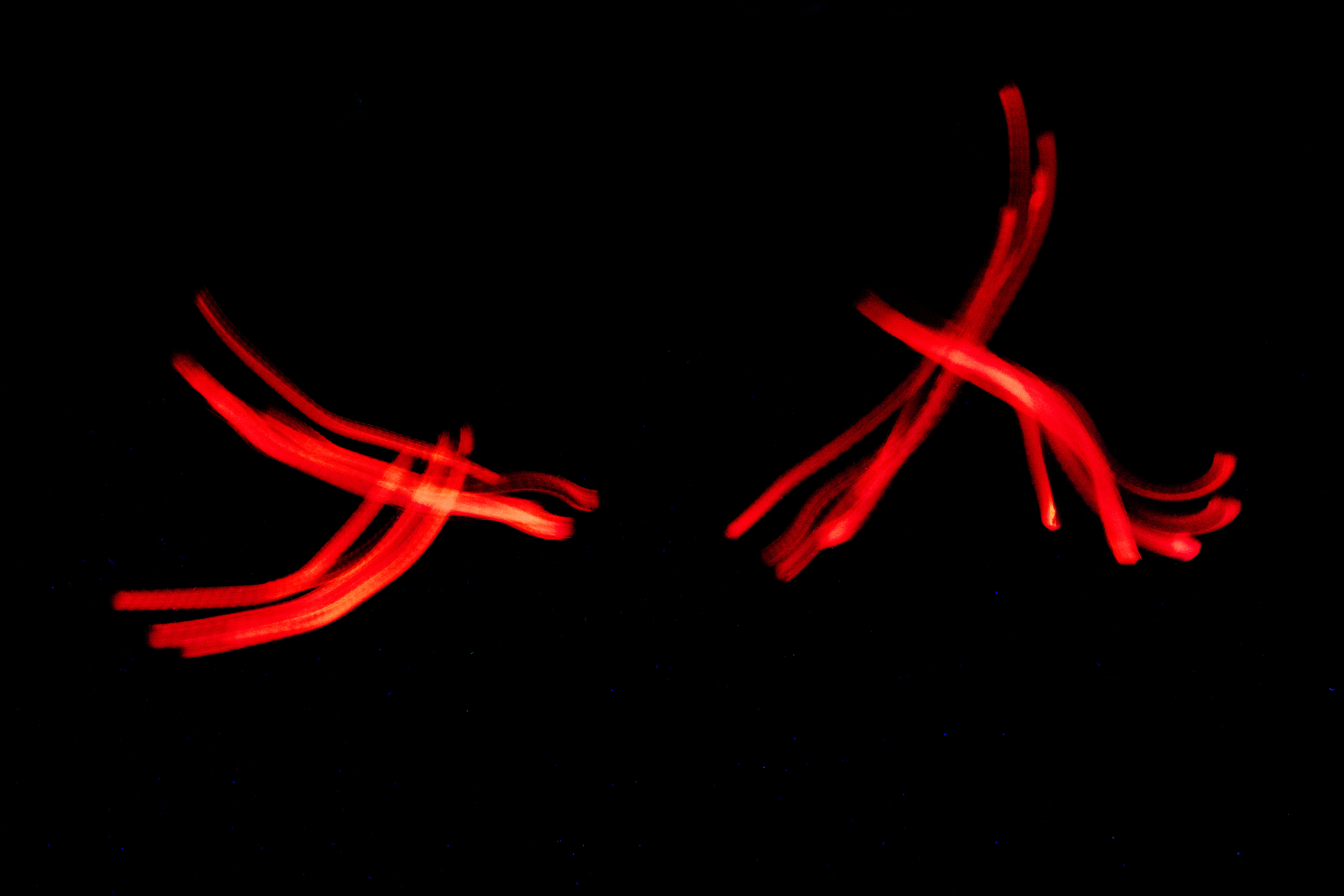 23112018-850_8781-93