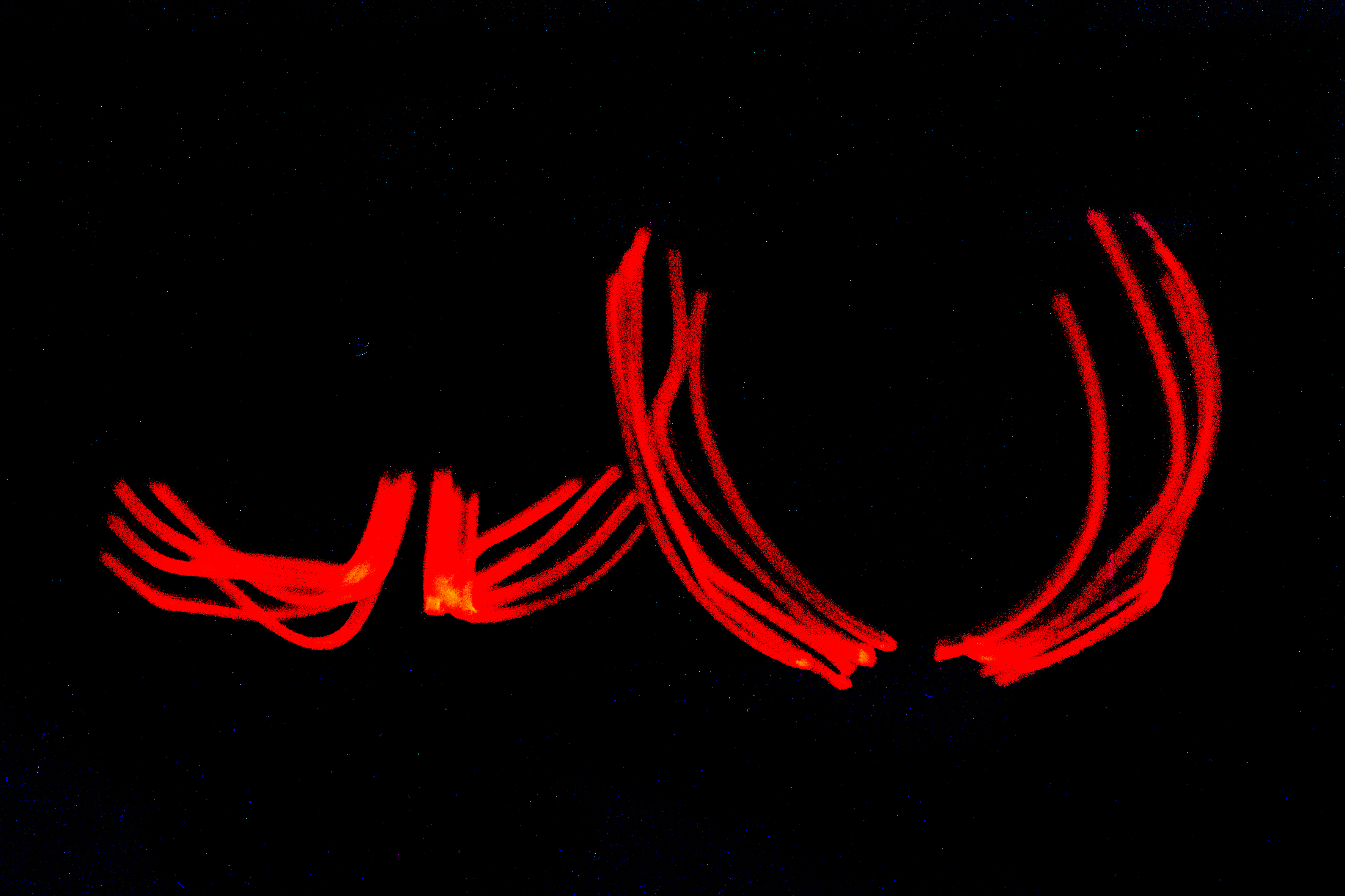 23112018-850_8815-100